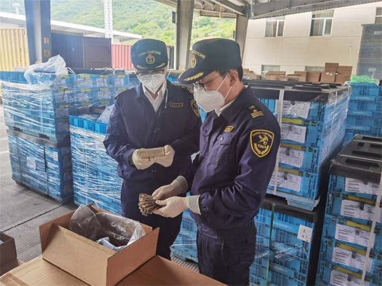 Тұрақтылықты қамтамасыз ету және сапаны жақсарту үшін сыртқы саудаға жәрдемдесу Нинбо кедені 20 «негізгі» шараларды шығарды