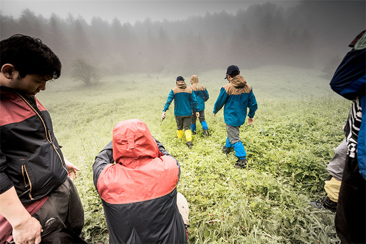 SURVIVA Wilderness Survival дегеніміз не?